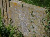 image of grave number 954064
